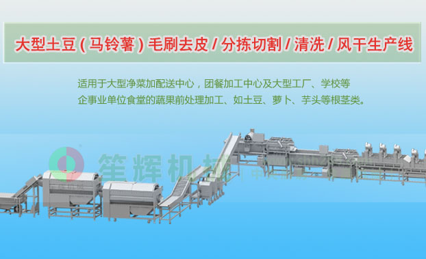 洪泽连续式土豆去皮清洗切割风干生产线